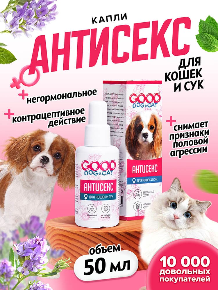 Инфографика для маркетплейсов | MarkStudio